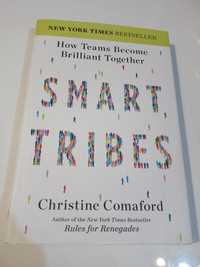 Smart Tribes: How Teams Become Brilliant Together - Christine Comaford