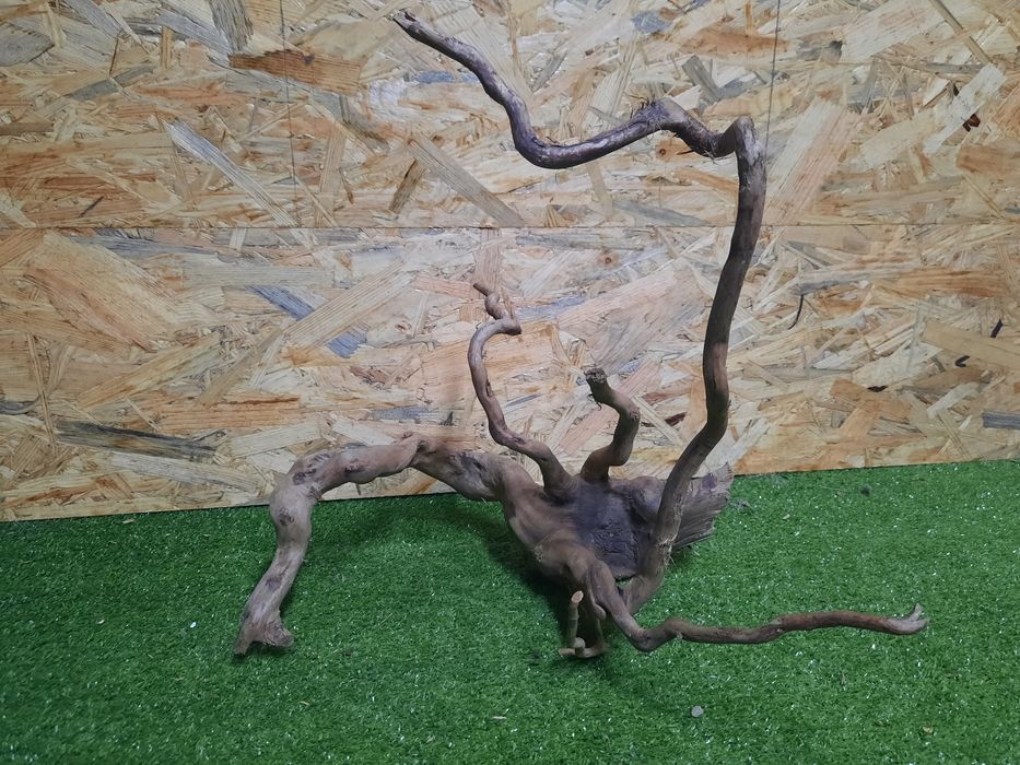 Korzeń do akwarium Red Moore Wood nr 887 o wymiarach 34/36/37