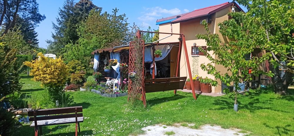 Działka ROD nad jeziorem Koskowickim