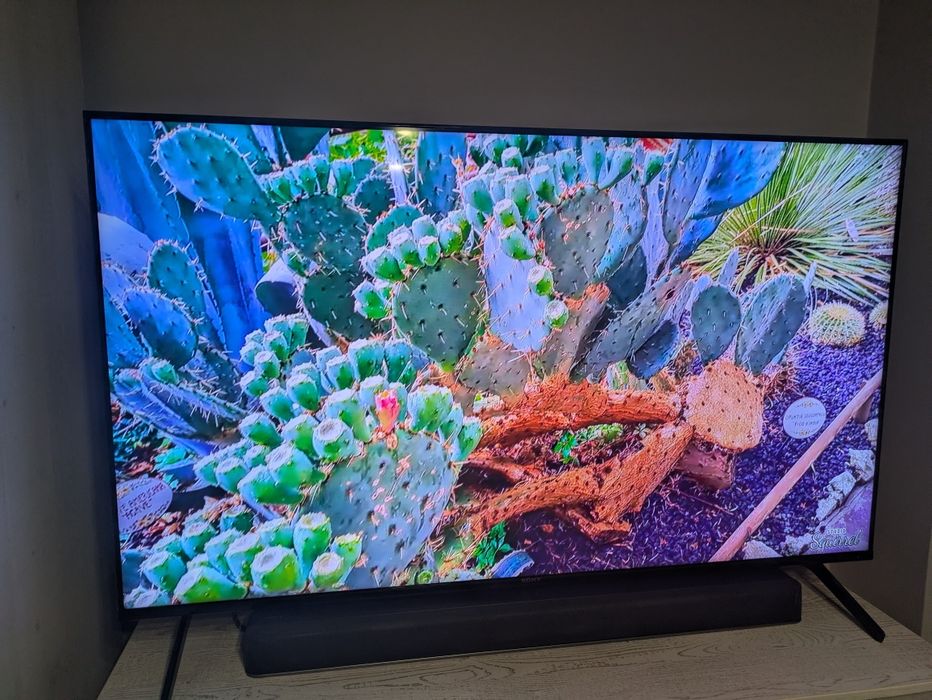 Telewizor Sony 55 cali