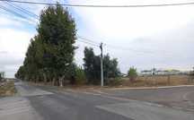 Terreno urbano junto a estrada nacional, no Montijo