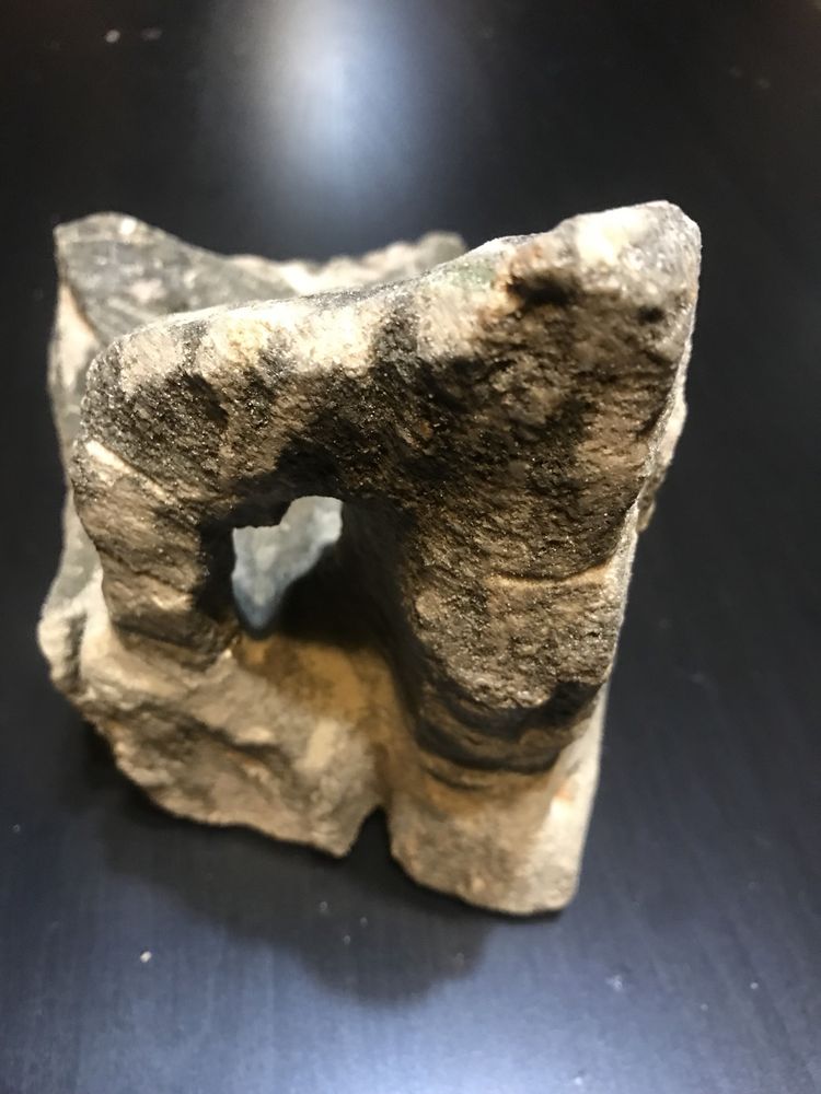 Kamień Grota dla glonojadów