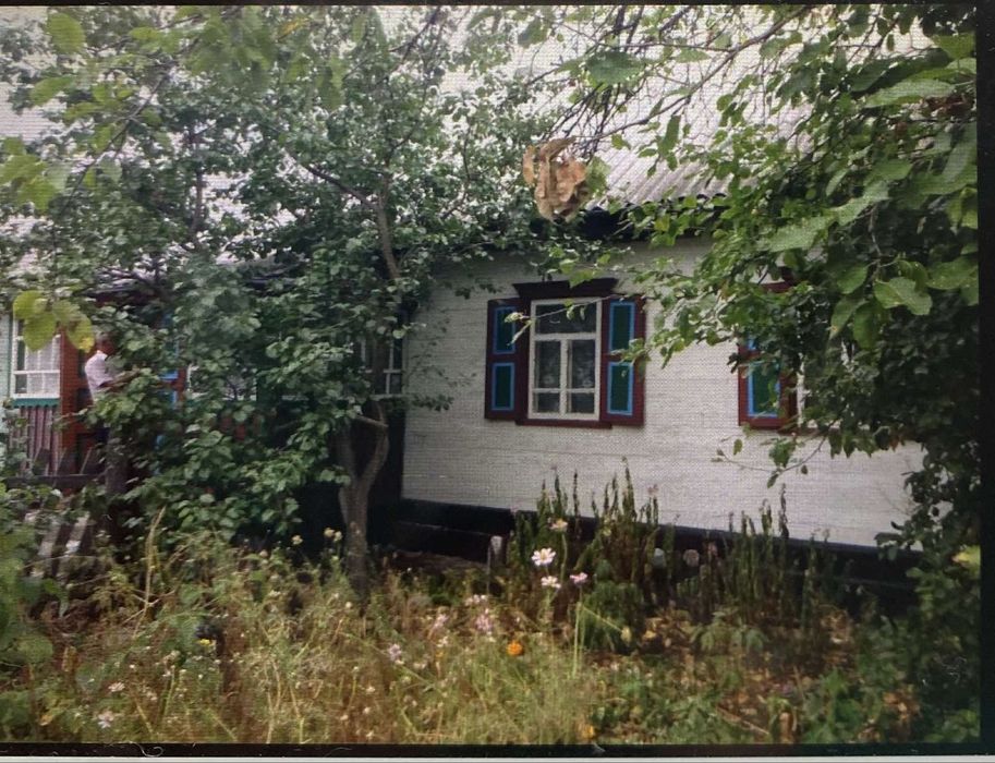 Будинок село Студениця, житомирська обл