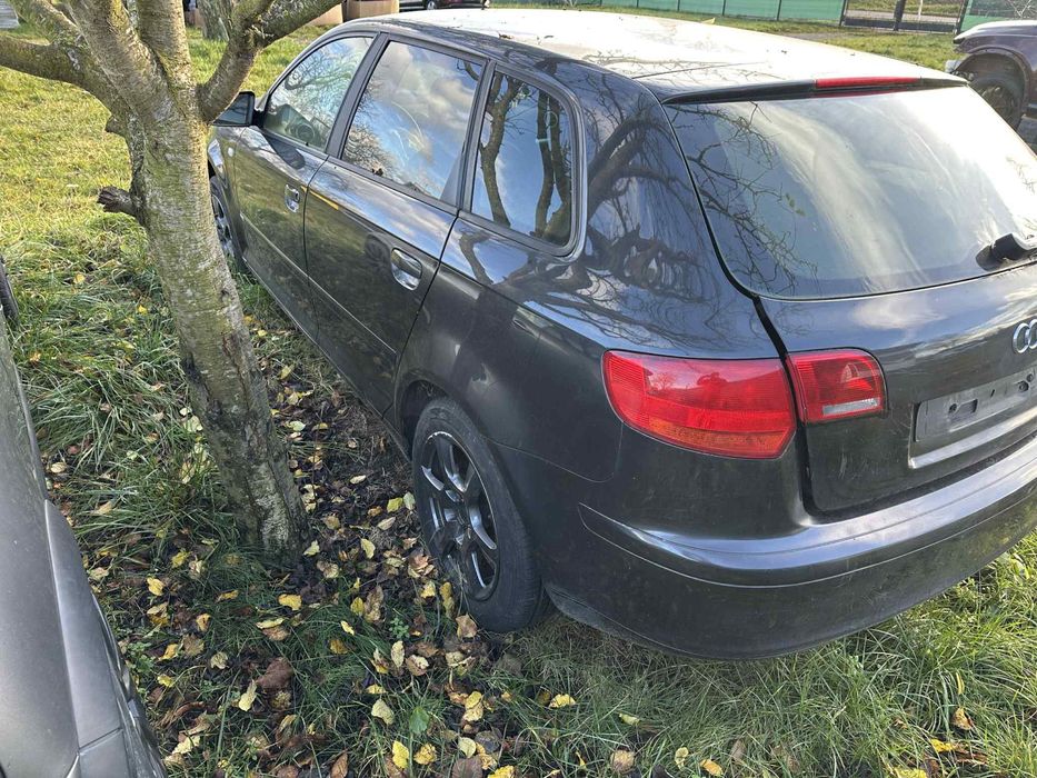 Audi a3 8p 1.6 mpi nowa instalacja gazowa