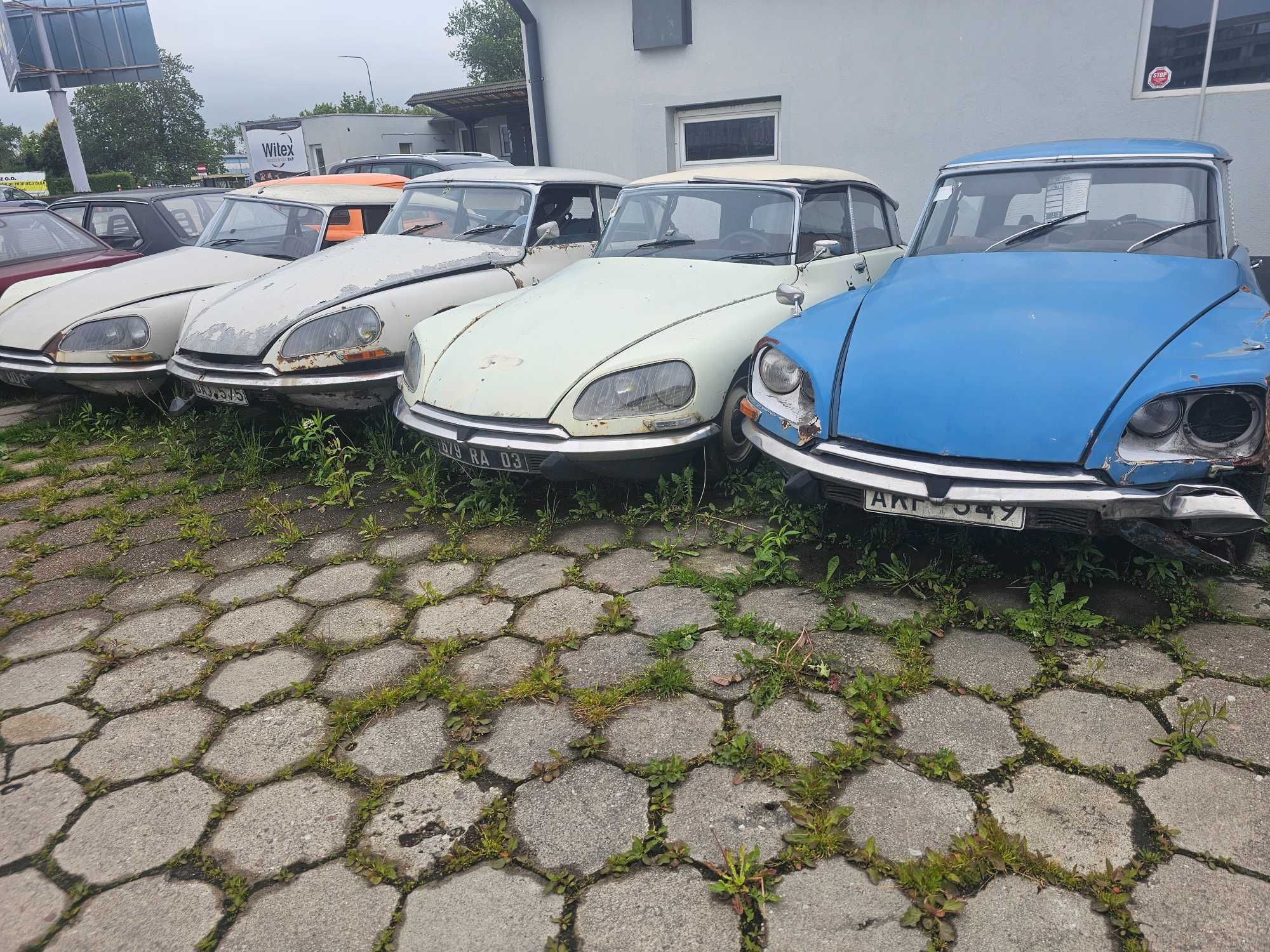 Cztery razy Citroen DS