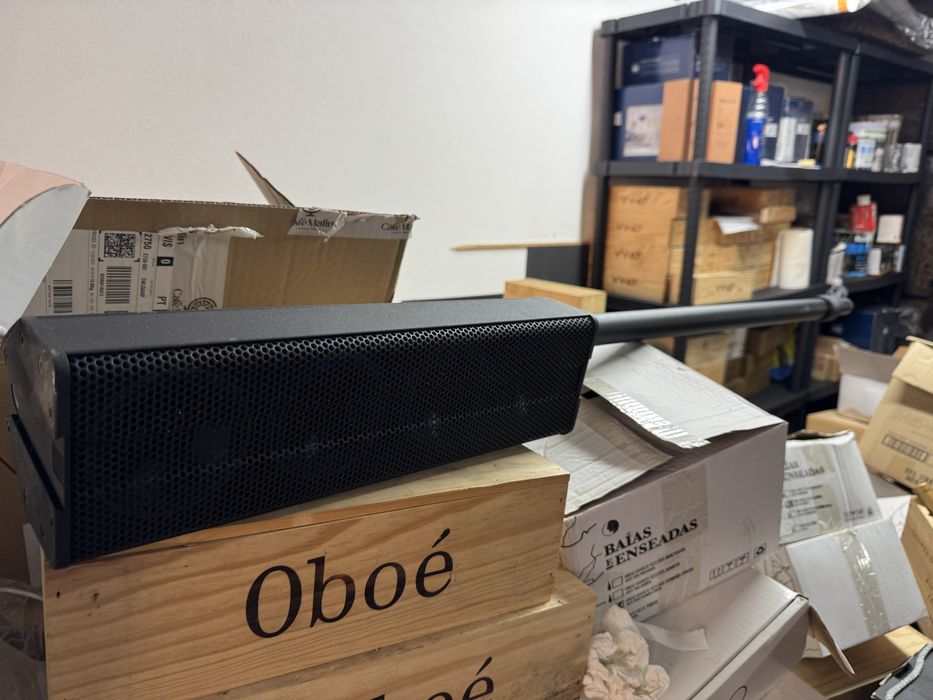 Coluna amplificada profissional HK