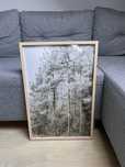 Obraz w ramce 42*62 cm