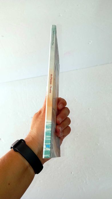 Os Piratas - Manuel António Pina