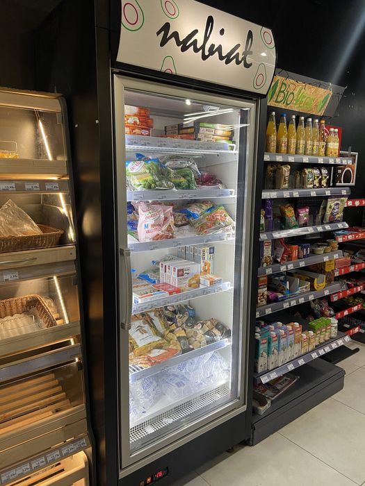 Szafa mroźnicza, ES SYSTEM SMI INDUS 07 1D 2500 zł brutto