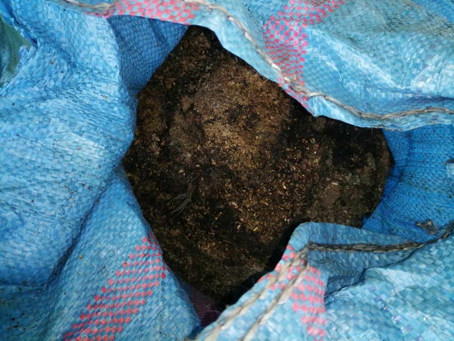 Obornik kurzy dowozimy