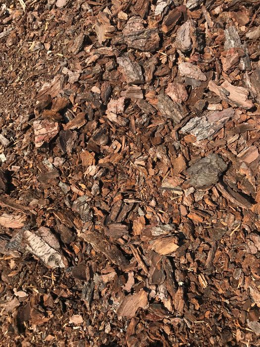 Kora ogrodowa na sprzedaż!