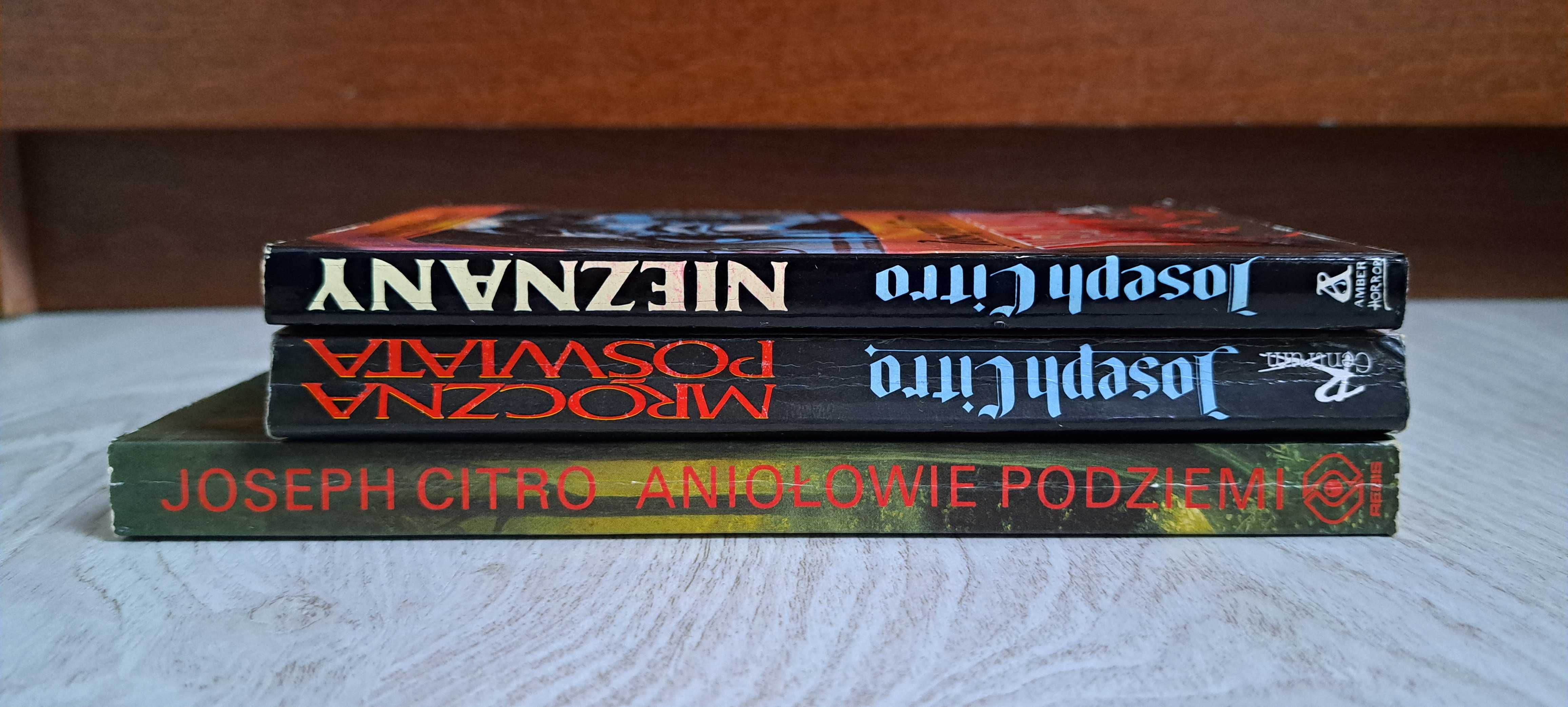 3x Joseph Citro Mroczna poświata + Nieznany + Aniołowie podziemi BDB