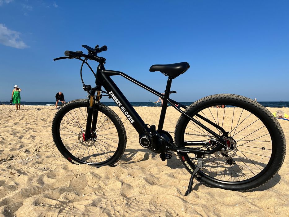 Rower elektryczny 250W 36V Lekki ebike. Idealny do miasta i na dojazdy