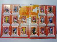 vintage cadertena futebol 2012/2013 - panini