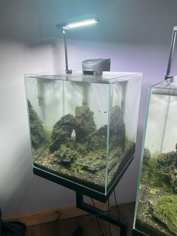 akwarium optiwhite 40x40x45
