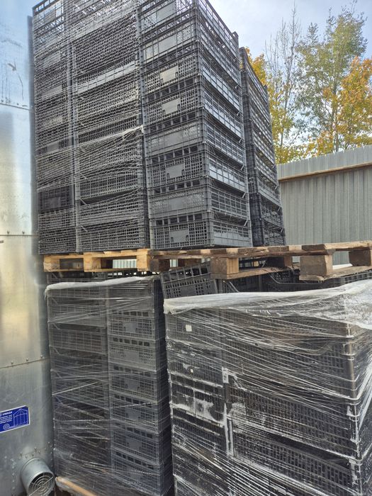 Skrzynki czarne, jednorazowe