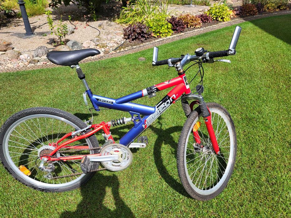 Rower HORIZON męski / młodzieżowy