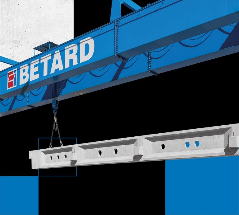 Kostka brukowa Betard