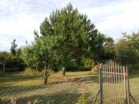 Działka ROD Pruszcz Gdański