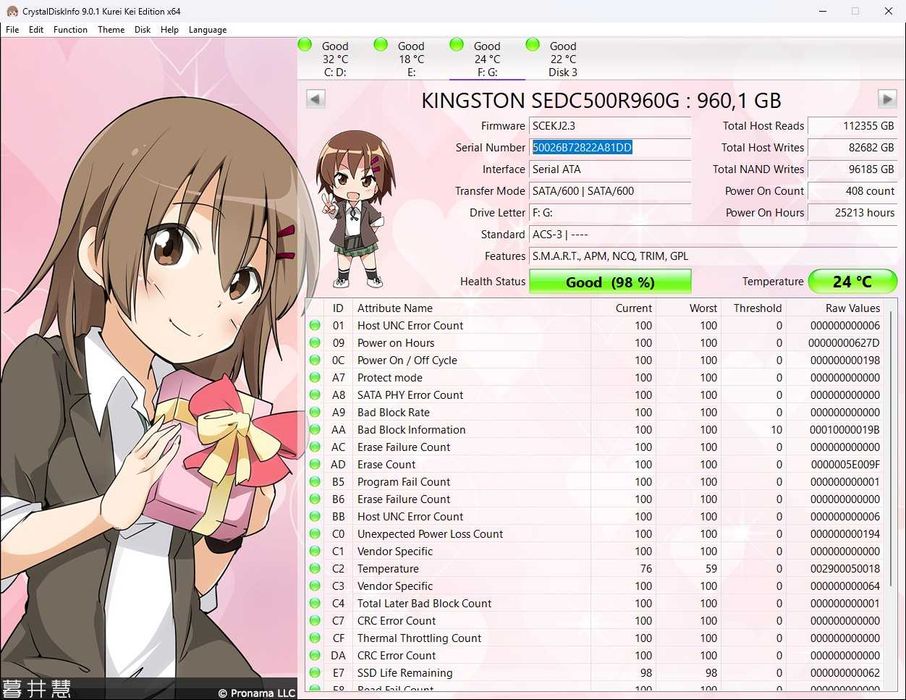 SSD  Kingston DC500R 960 GB  2,5"  SATA rev. 3.0 Data Center