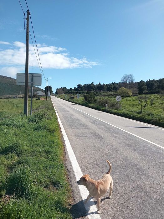 Pequena Vivenda V2 de R/C