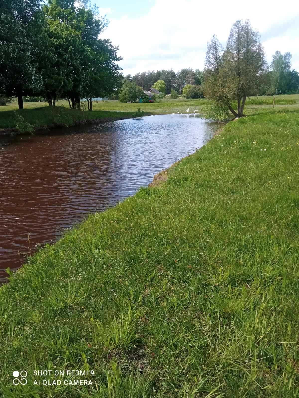 Продам будинок  с. Дідовичі