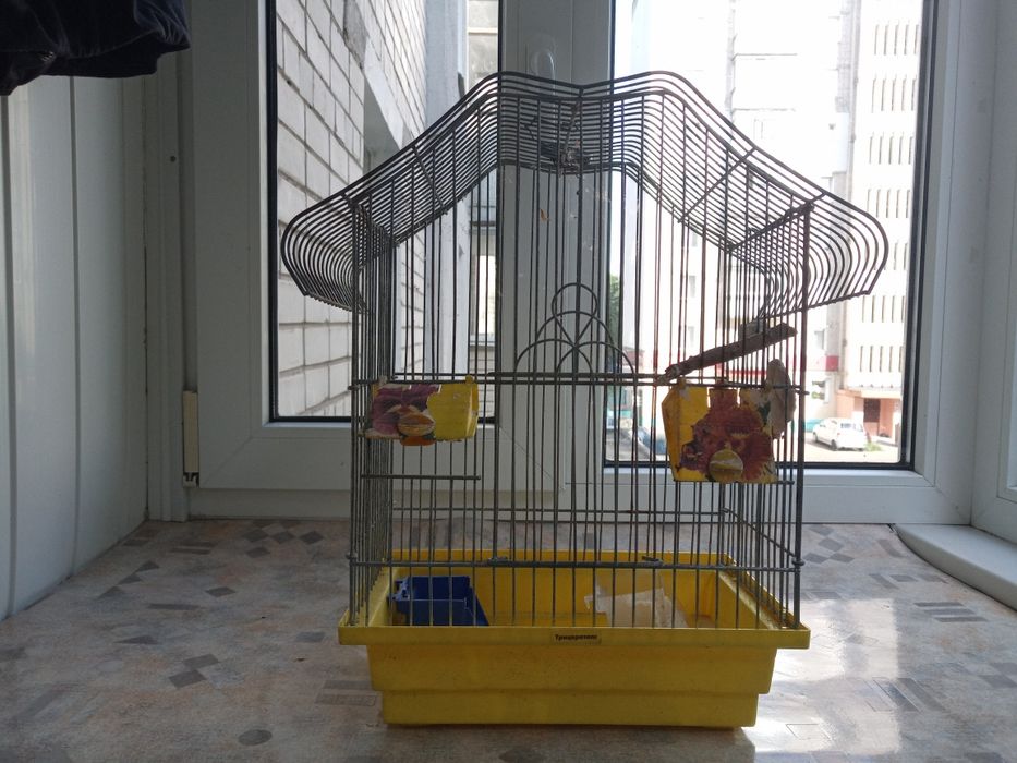 Клетка для грызунов
