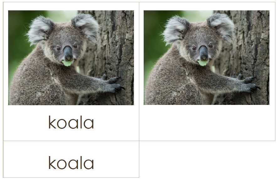 Karty trójdzielne Zwierzęta Australii