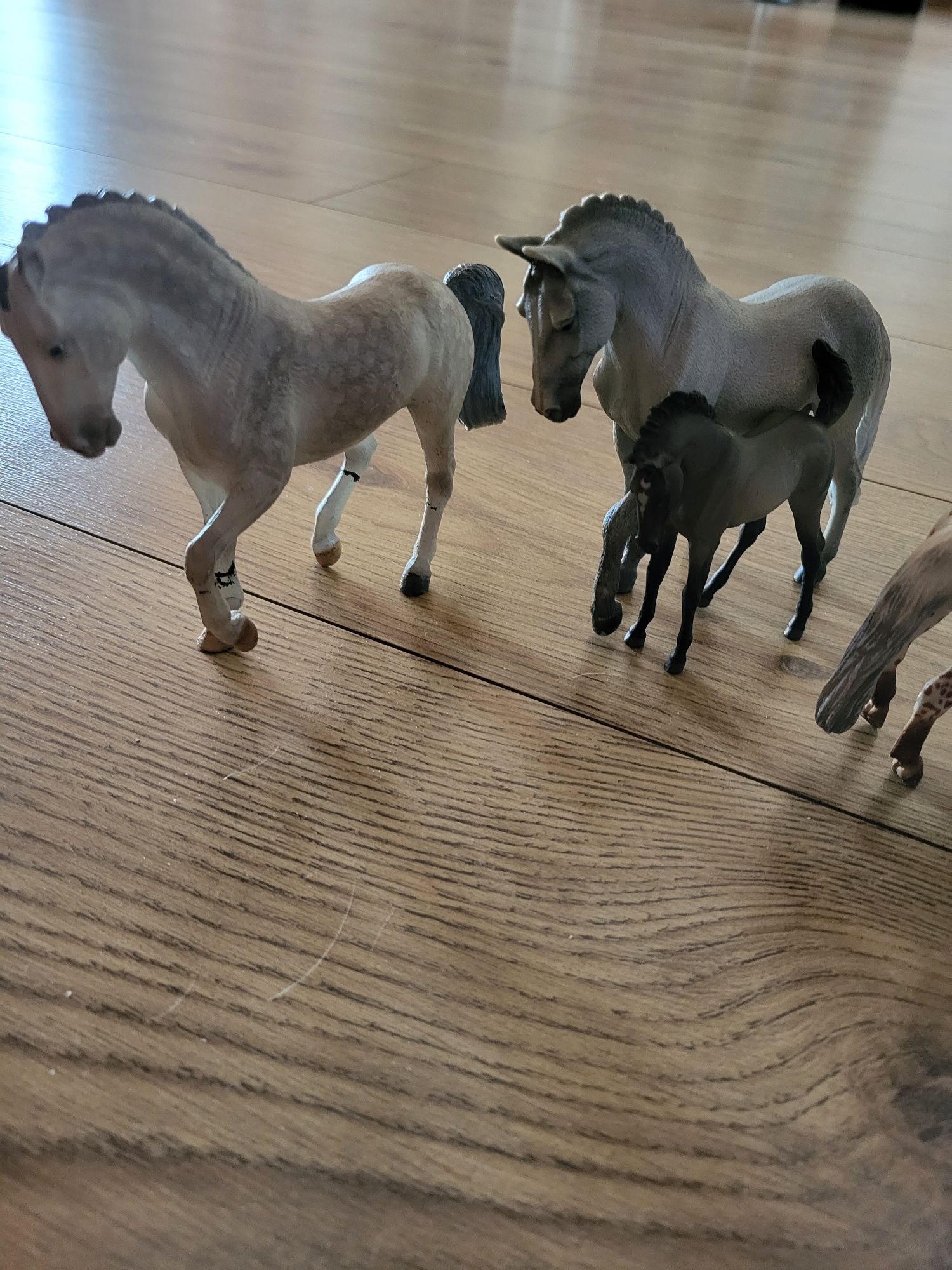 Figurki zwierząt konie shell i inne okazja