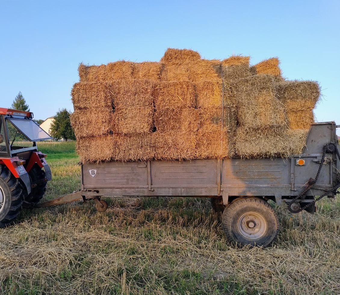 Sprzedam kostki słomy
