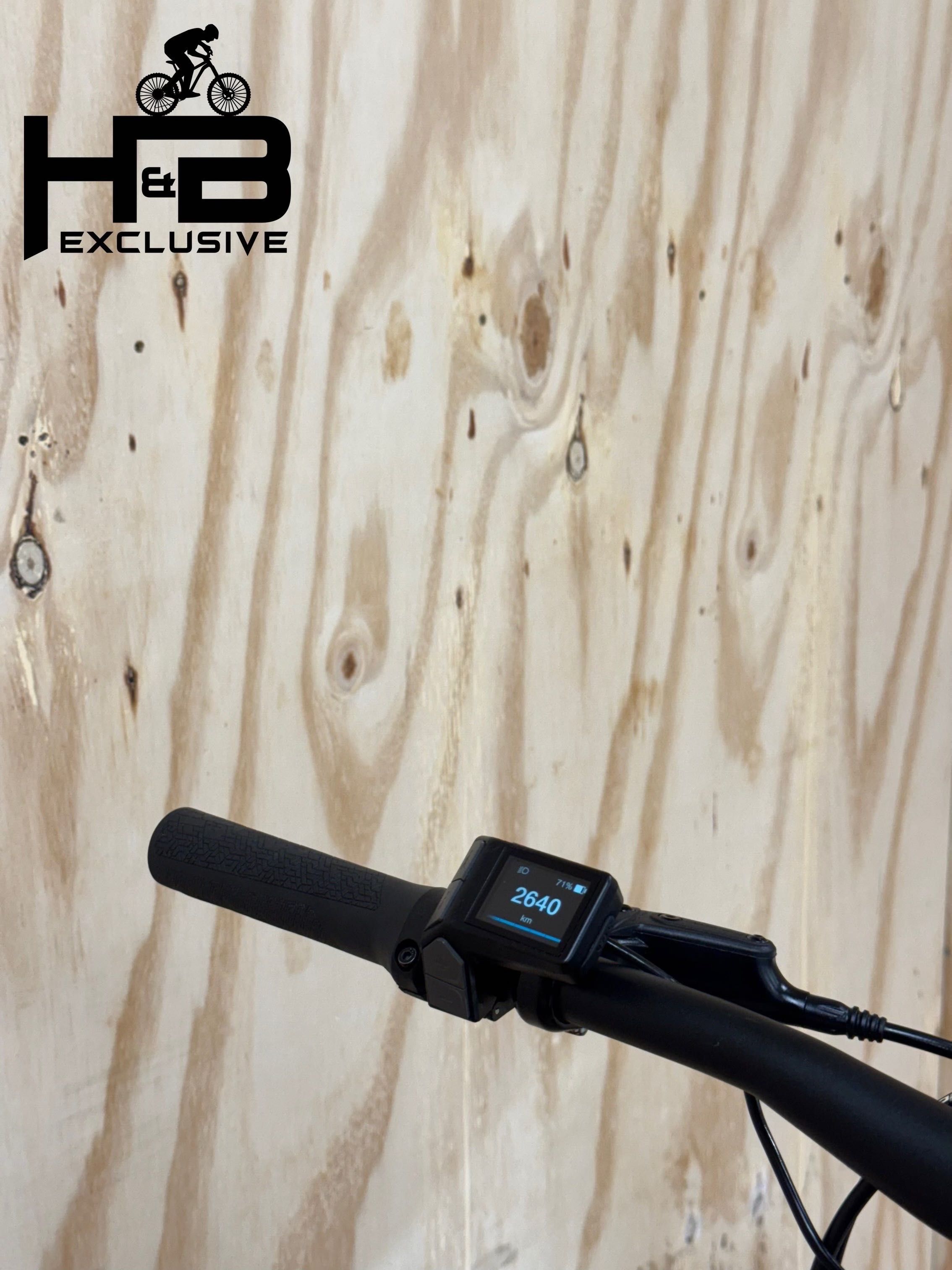 Giant Liv Tempt E+ EX Shimano Alivio 2021