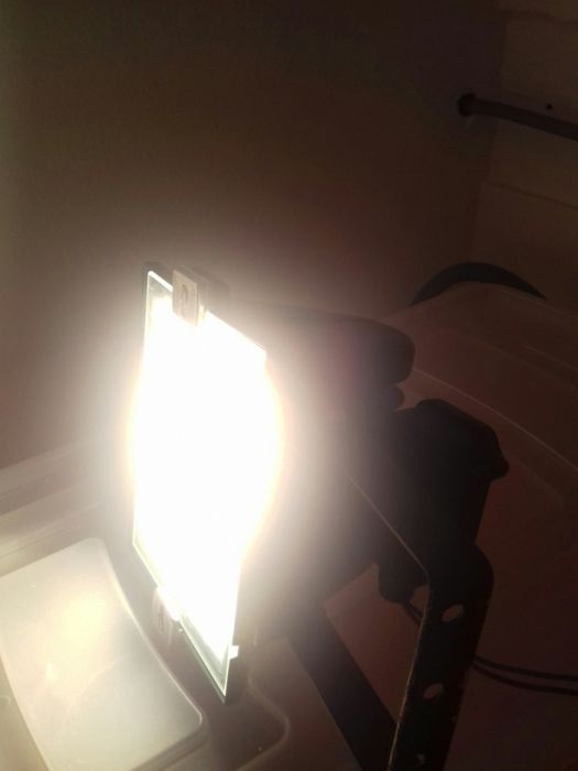 Projector luz halogéneo