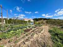 Terreno misto com viabilidade de construção