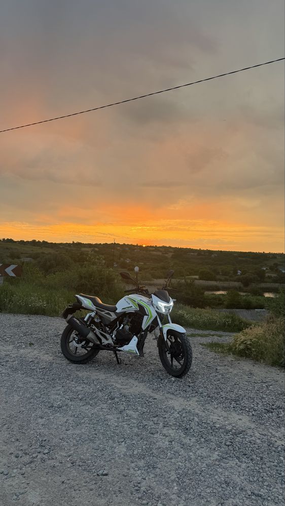 Geon pantera 250