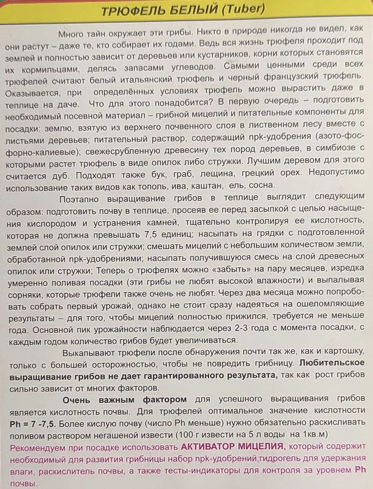 Міцелій трюфель чорний та білий