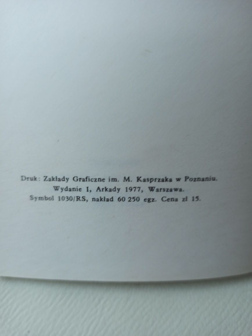 Kandinski, mała encyklopedia sztuki, Arkady