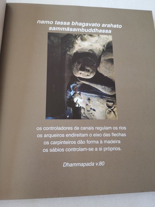 À Sua Verdadeira Luz, Ajahn Jayassaro