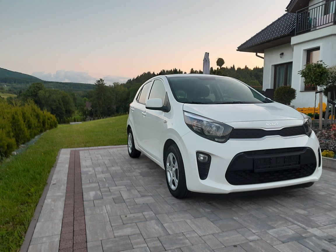 Kia Picanto 2022 rok