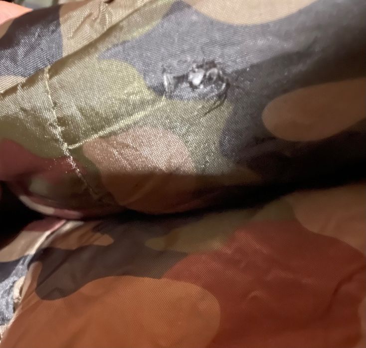 Śpiwór pododdziałów specjalnych wz. 729/MON