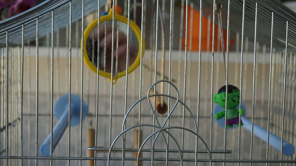 Клетка для попугаев, канареек и других маленьких птиц