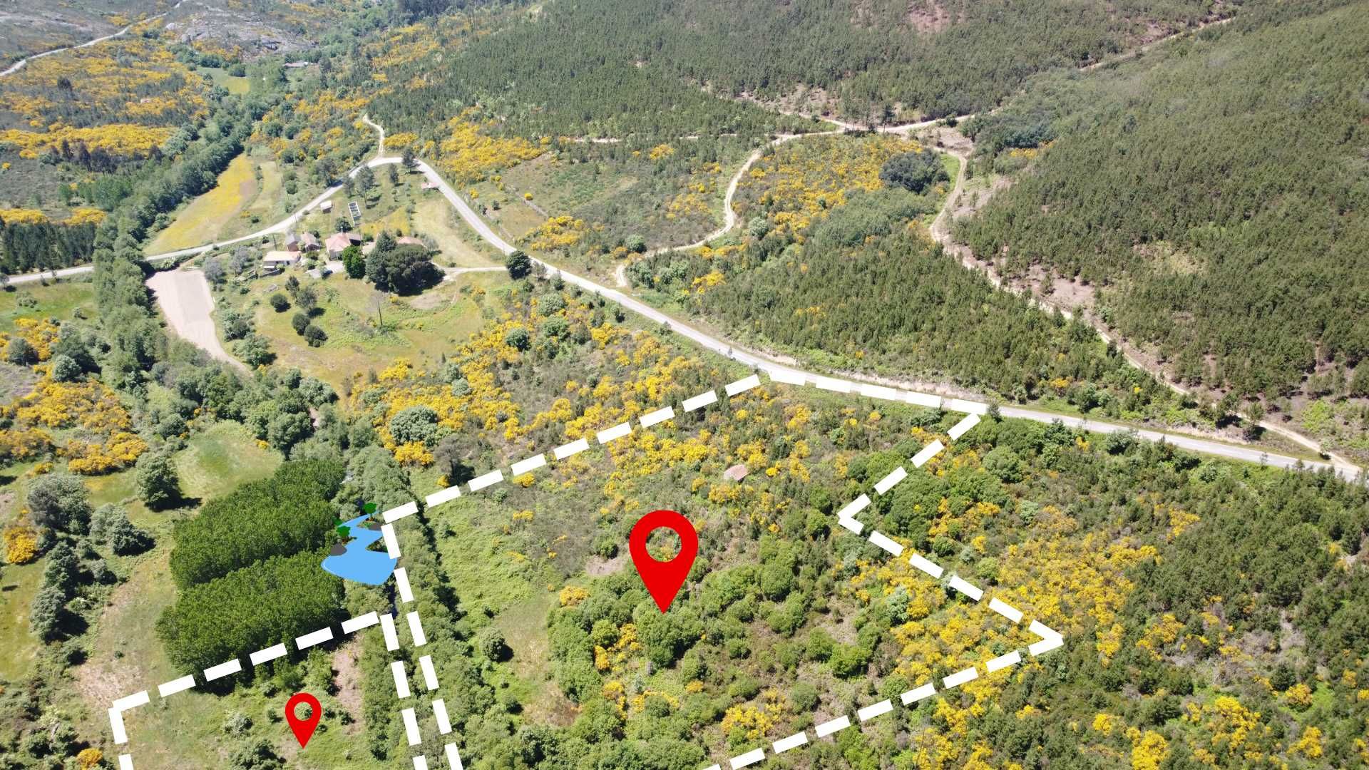 Terreno em Fornos de Algodres