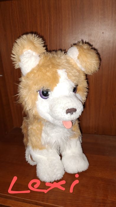 Hasbro Furreal Ricky lub Lexi cudowny piesek