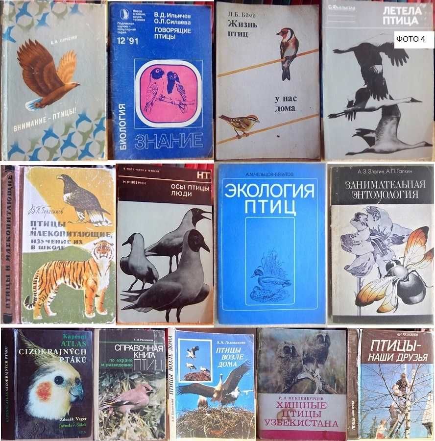 футбол твоя игра говорящие птицы фэн-шуй дети индиго высоцкий гимнаст