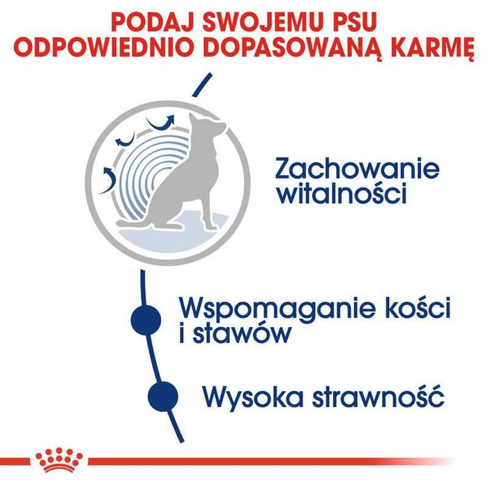 Karma dla psa Royal Canin Maxi Ageing 8+ 15 kg OKAZJA!