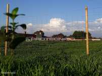 Terreno p/ construção de moradia isolada térrea - Sarrazola