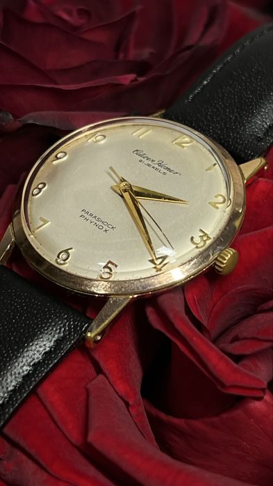 Рідкісний  Citizen Homer 21 jewels