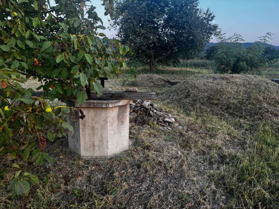 Земельна ділянка Вижниця-Чорногузи