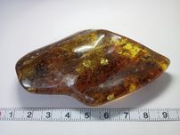 Naturalny bursztyn bałtycki z roślinnymi inkluzjami 24.26g.