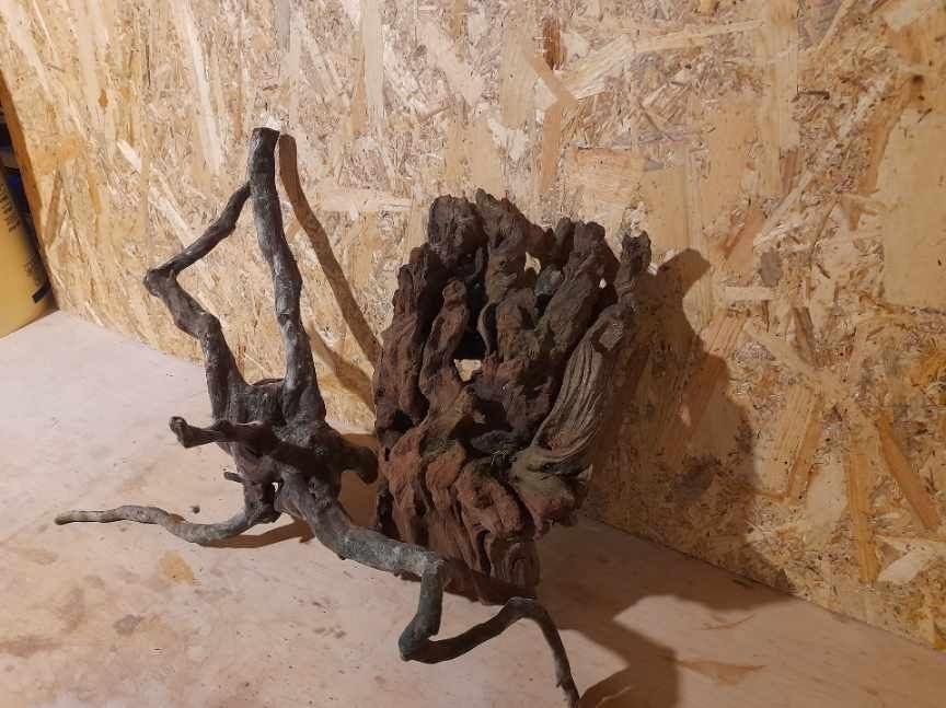 Korzenie do akwarium