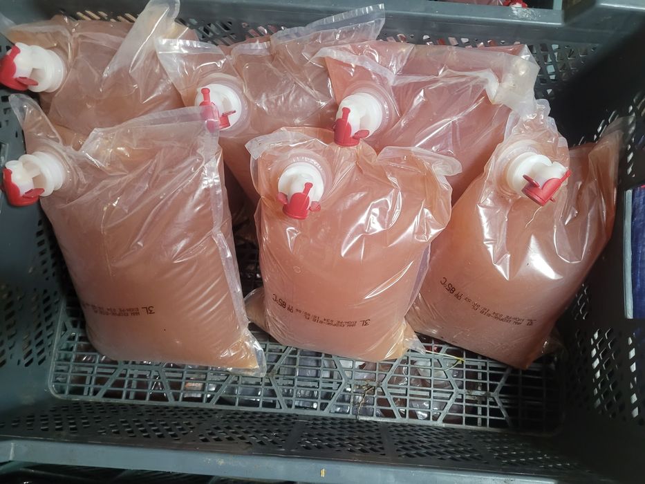 Sok z winogron 6L (2x3L) WYSYŁKA sok winogronowy foliopak